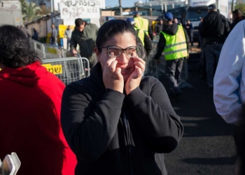 צילום: אורי פינר