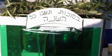 קרטון וביצוע