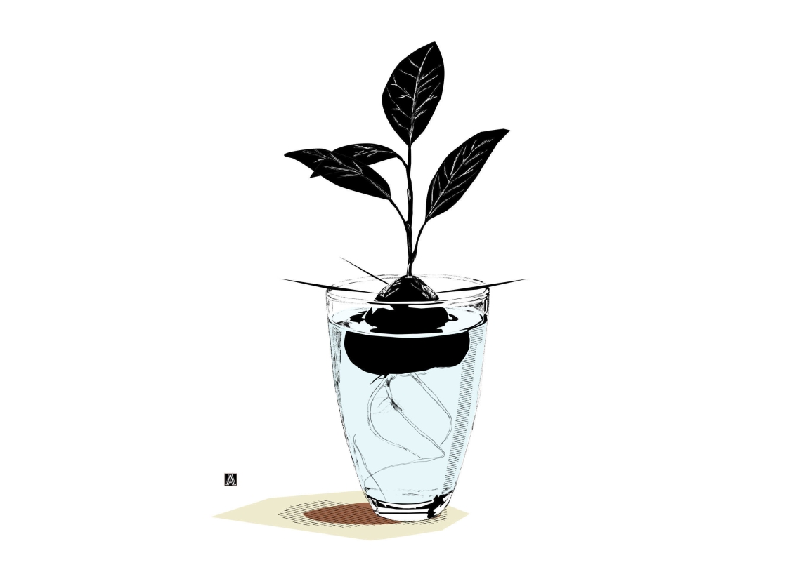 איור: אילה טל