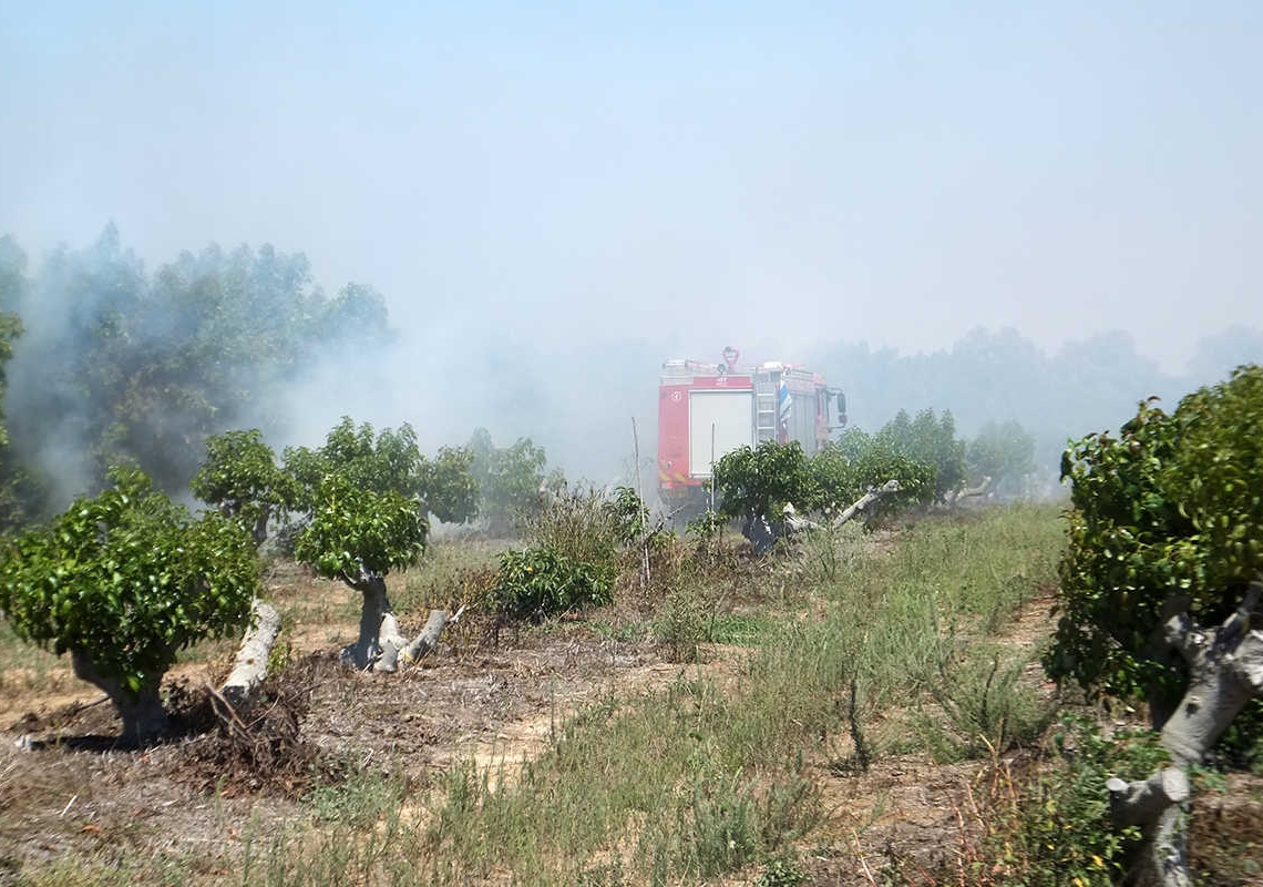 צילום: ארנון אבני