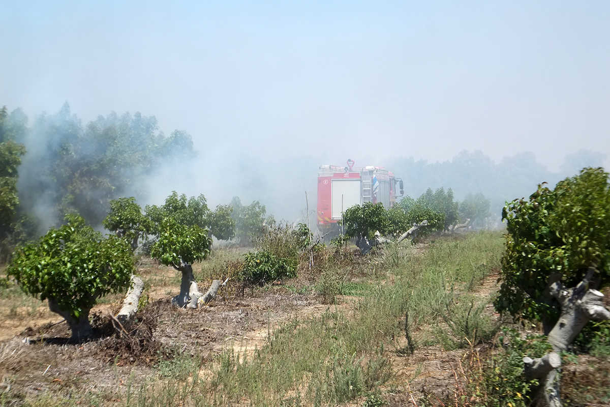 צילום: ארנון אבני