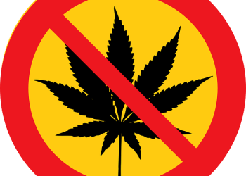 חפש את האשה