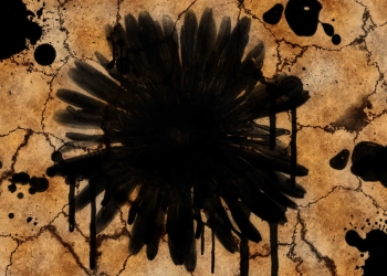 דליפה ייצוגית