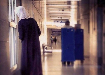 צילום: מאיה הפנר, 2014