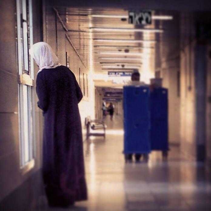 צילום: מאיה הפנר, 2014