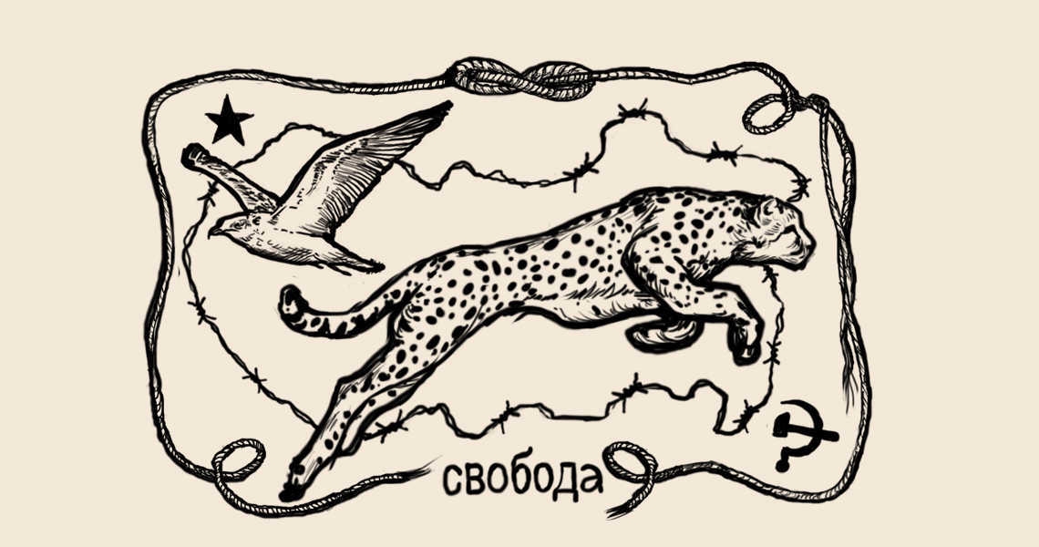 איור: עפרה אייל