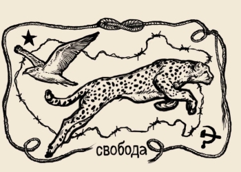 איור: עפרה אייל