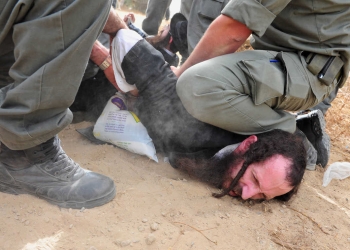 שוטרים עוצרים מפגין חרדי