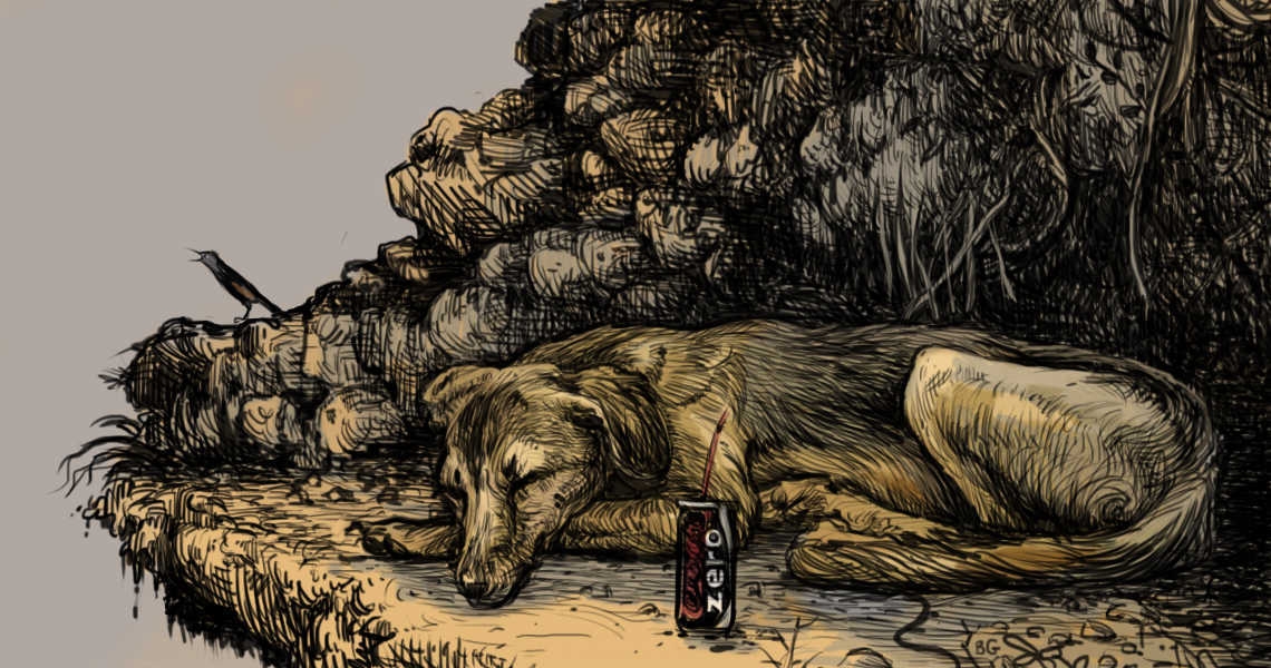 איור: עפרה אייל