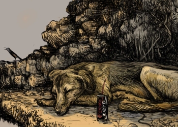 איור: עפרה אייל