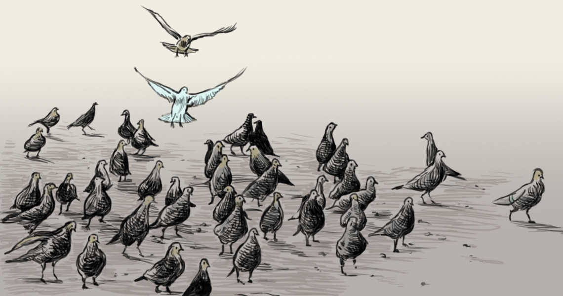 איור: עפרה אייל