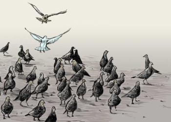 איור: עפרה אייל