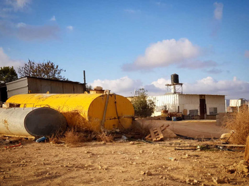 צילום: לינור אללוף