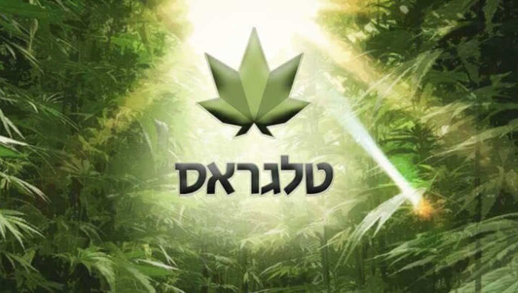 צילום מסך טלגראס