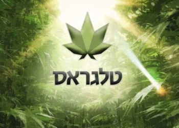 צילום מסך טלגראס