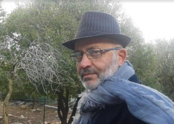 שי גרינשפון