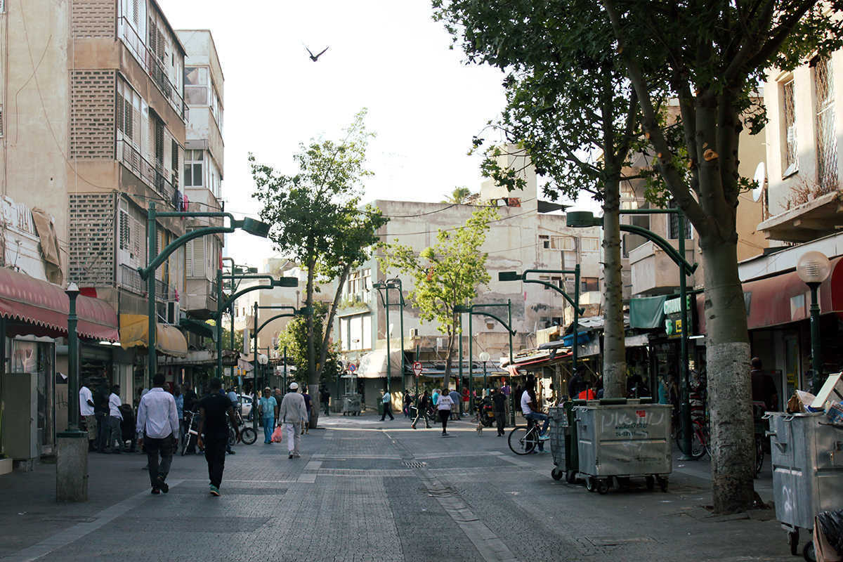 צילום: שני דוידוב