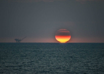 צילום: שאטרסטוק
