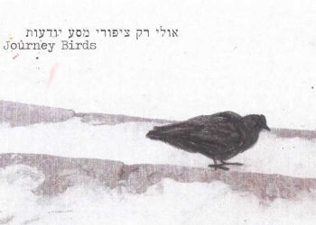תמונת הסרט ציפורי מסע
