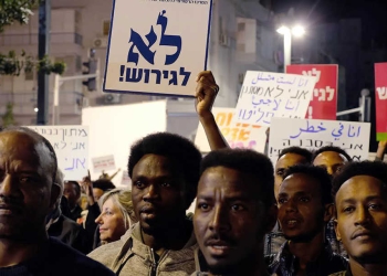 צילום: מיקי קרצמן