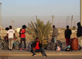 צילום: לינור אללוף