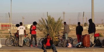 צילום: לינור אללוף