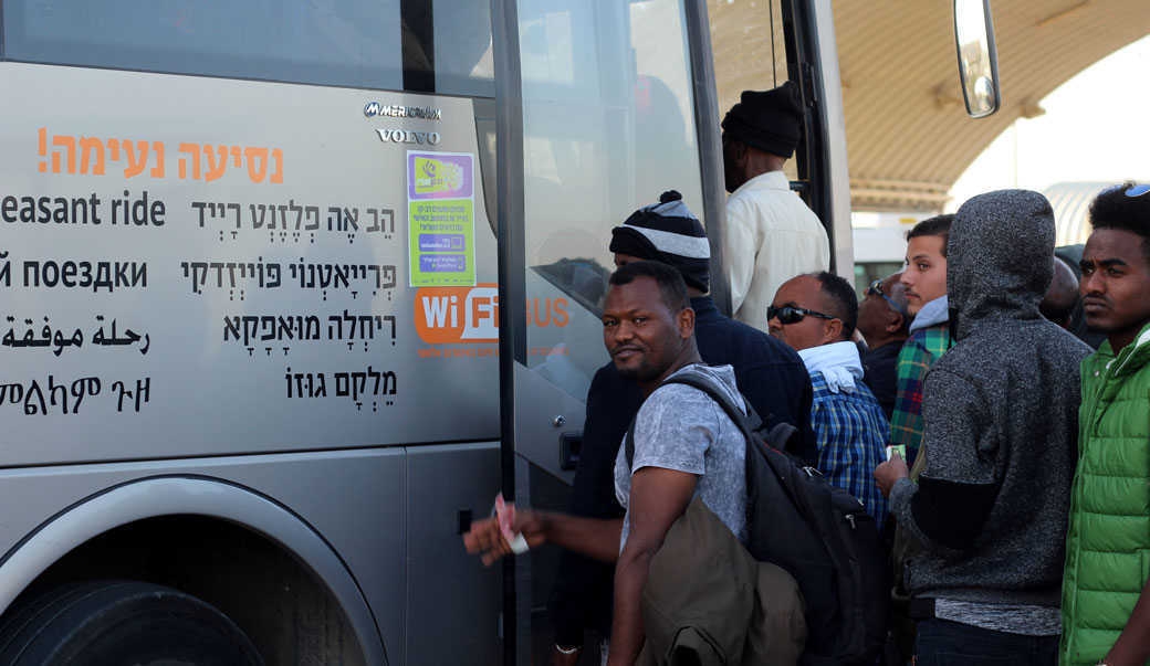 צילום: לינור אללוף