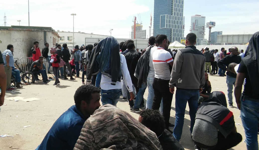 צילום: דניאלה גבעון