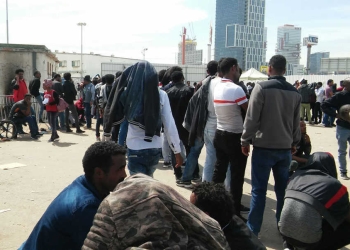 צילום: דניאלה גבעון