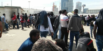 צילום: דניאלה גבעון