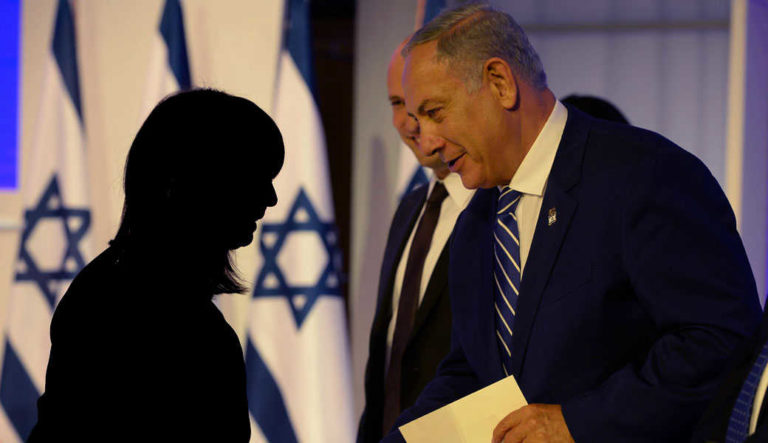 מיטל פלוטניק