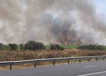 צילום: בר חפץ