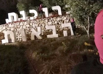 צילום: אלמונית