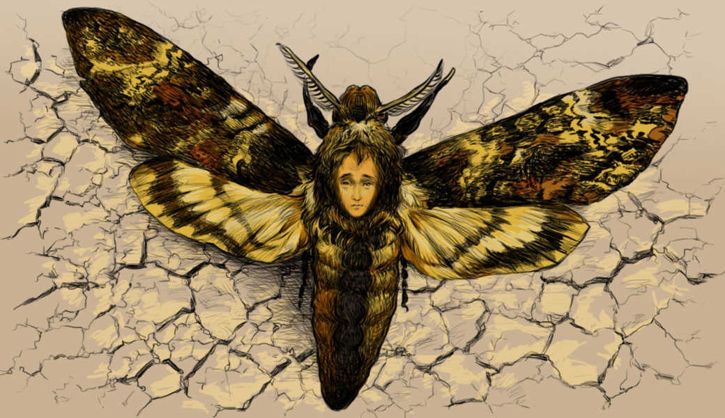 איור: עפרה אייל