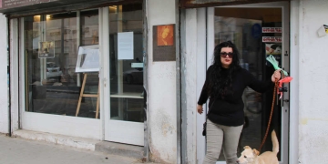 צילום: נטע יצחק