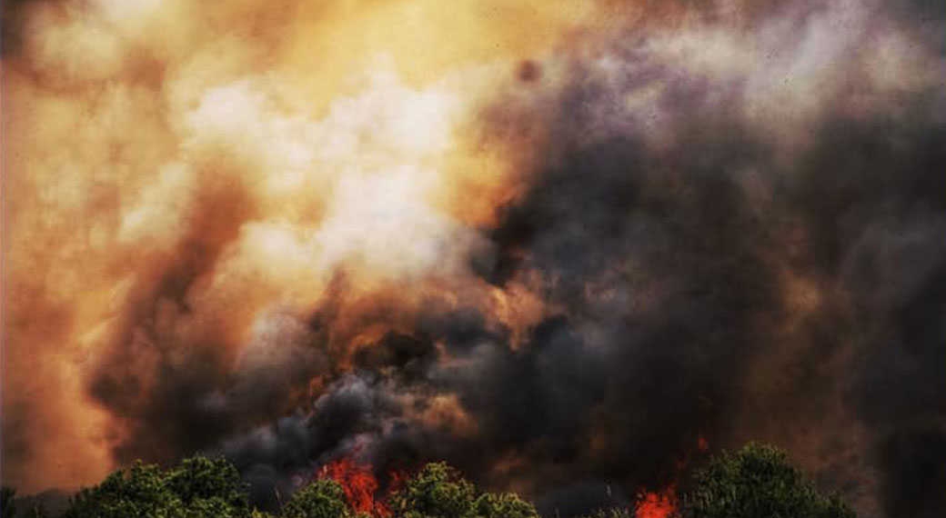 צילום: נעמה כספי