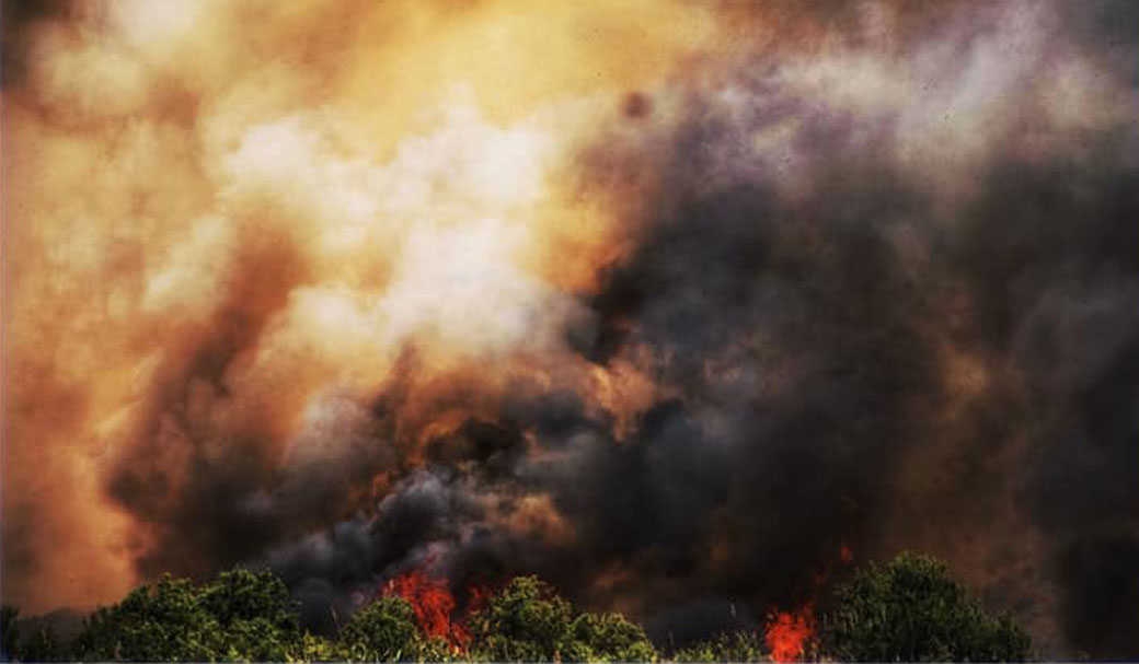 צילום: נעמה כספי