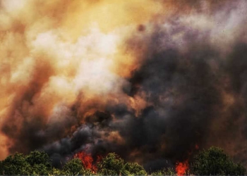 צילום: נעמה כספי