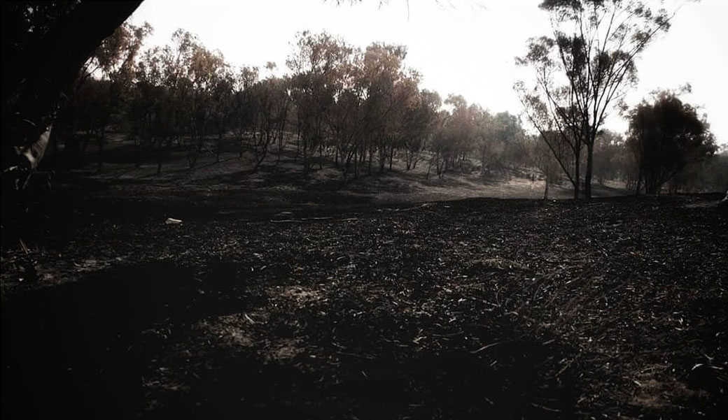 צילום: נעמה כספי