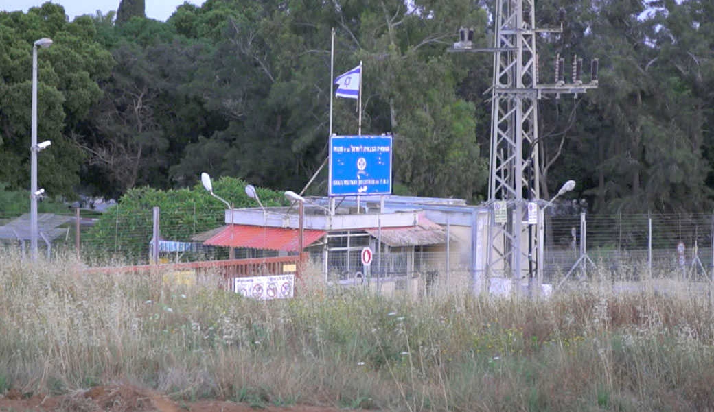 צילום: כאן 11