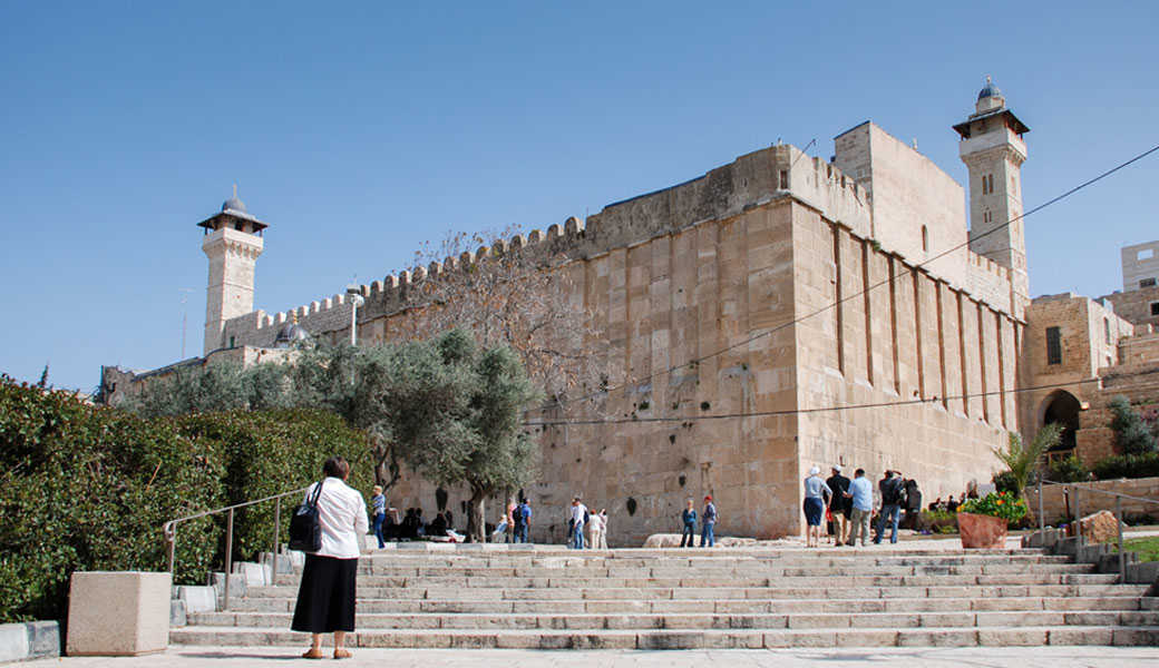 צילום: שאטרסטוק