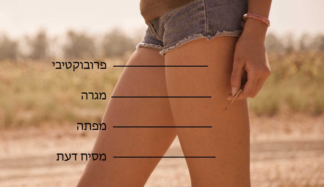 עיבוד מחשב: ליוי וינטר