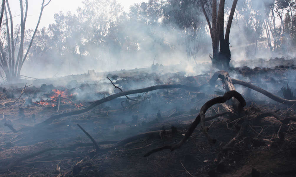 צילום: מיטל פלוטניק