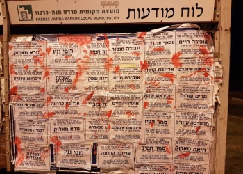 ״זה לא צבא של פעילות, אלא מעין יחידות גרילה שקמות לצורך פעולה זו או אחרת״ | צילום: היחידה ללוחמה בטרור המגדרי