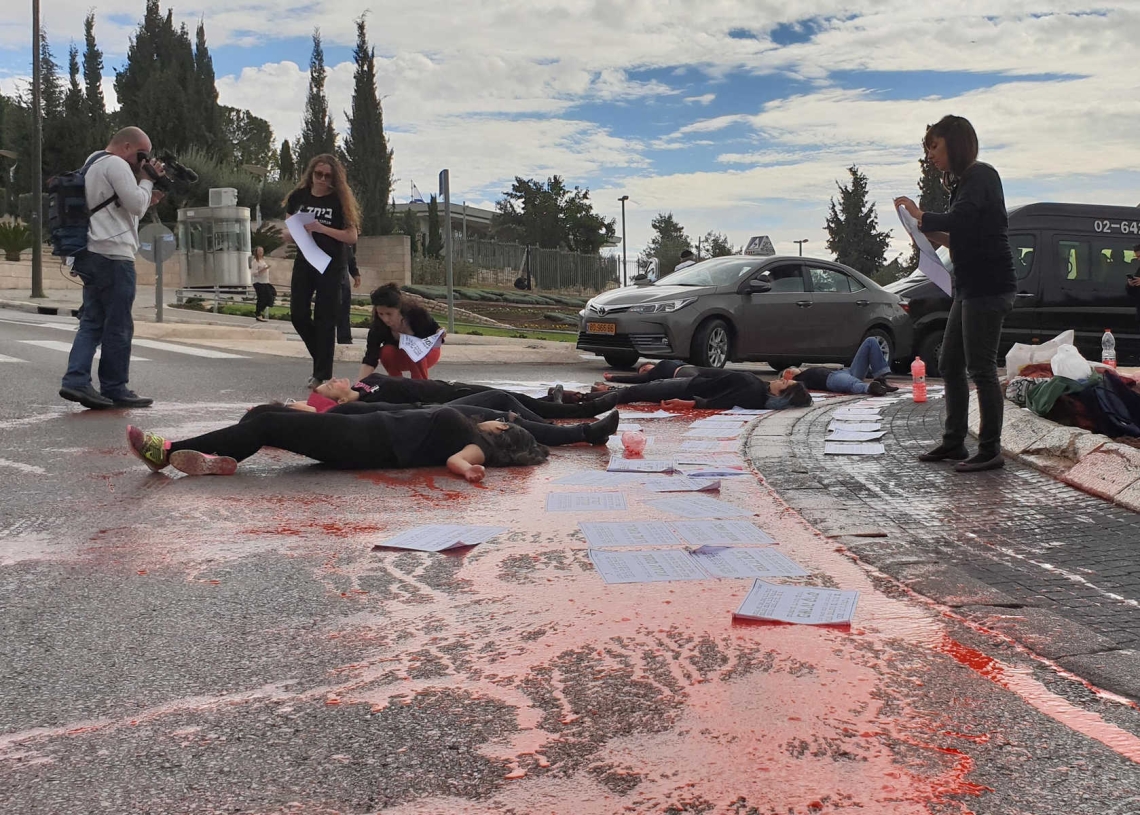 מפגינות בכנסת | צילום: יובל עופר
