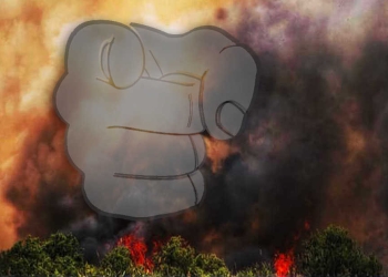 ״העיקר שלא יפלו עליכם טילים ושלא ישלחו את הבנים שלכם להילחם״ | צילום: נעמה כספי