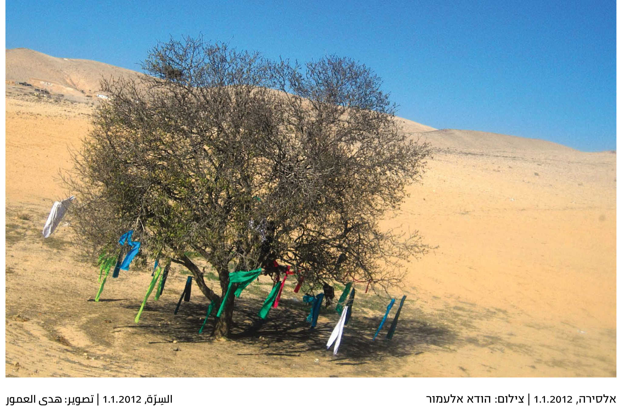 Yeladim_postcard_07-13