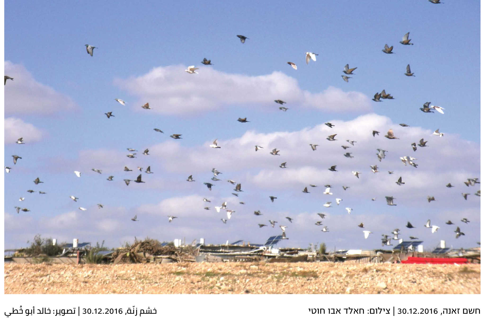 Yeladim_postcard_07-2