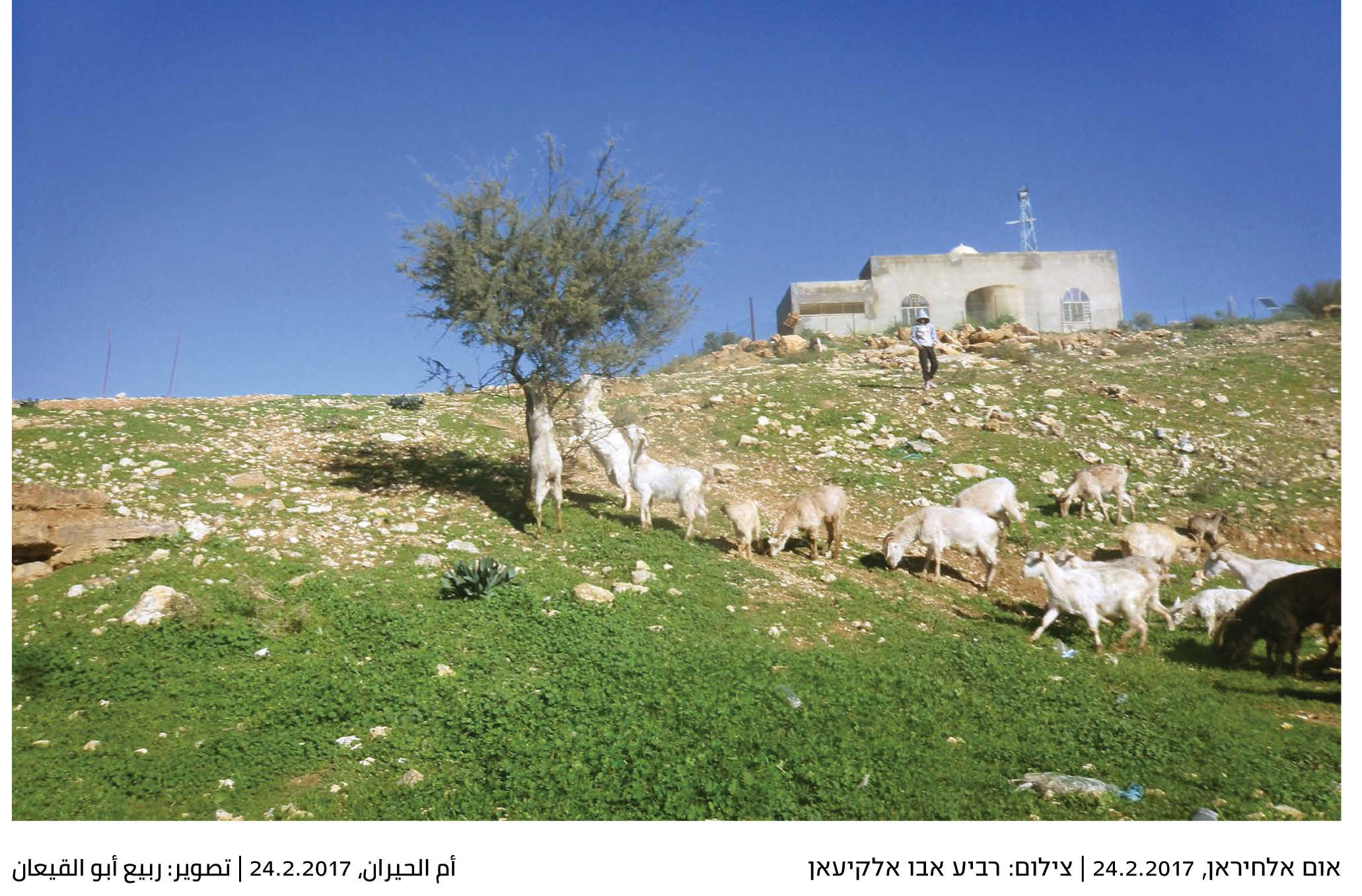 Yeladim_postcard_07-3