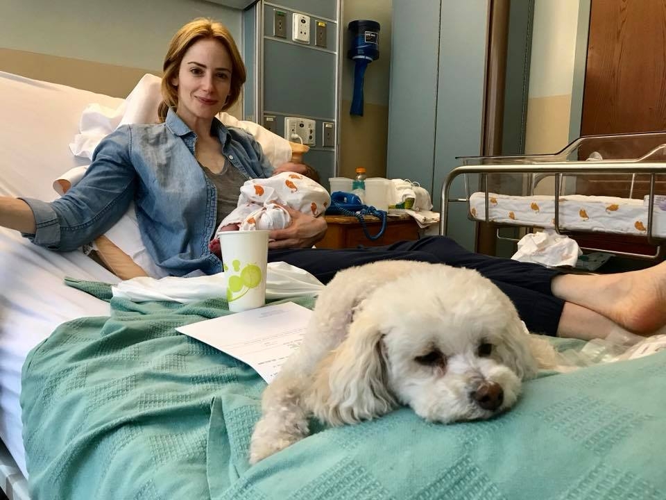 ״תחושה של אושר עוטפת אותנו, אז החלטנו לחלוק את הנס המדהים שלנו שיכול היה לקרות רק באמצעות מדע ואהבה, שנה טובה, שנה יפה ותקווה שלא אבדה. Ness = נס בעברית" | ג'יימי ועלמה